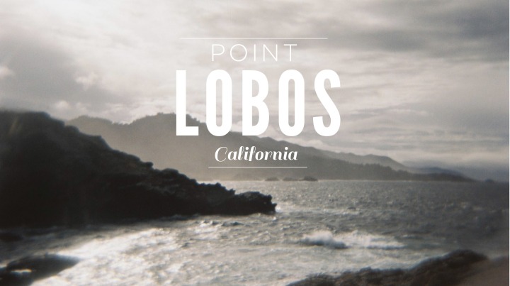 Point Lobos Cover